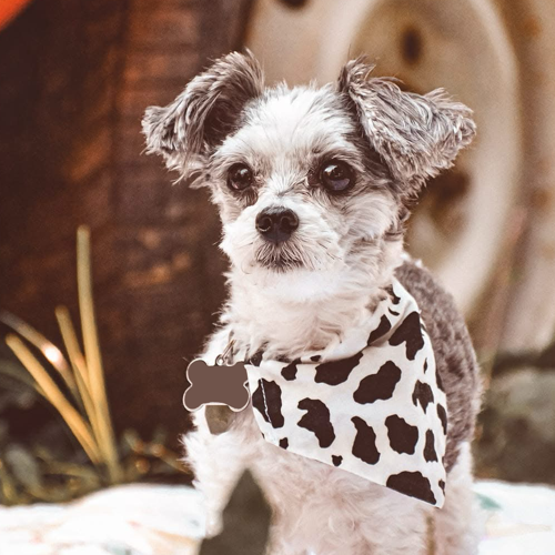 Doggie Bandana - Macaroni